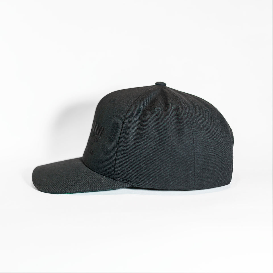 OG Tint Gang Fitted Snapback Black/Black